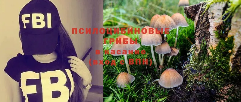 Галлюциногенные грибы Magic Shrooms  наркота  Россошь 